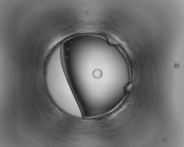 X0000094461453200711151439