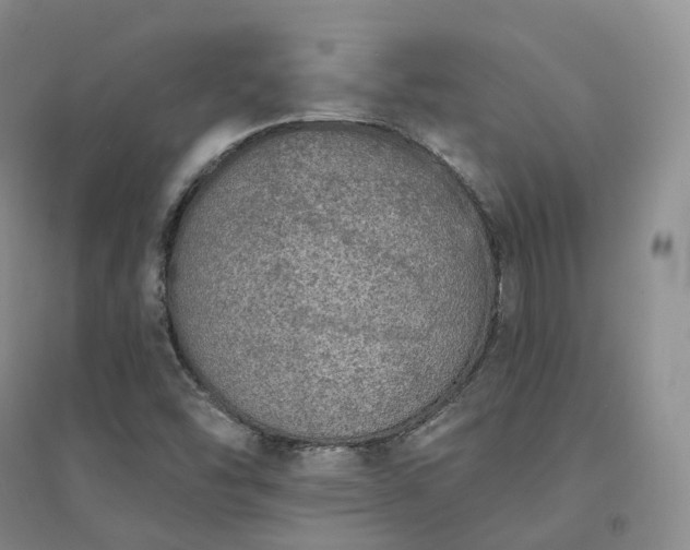 X0000094461454200711151439