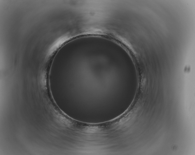 X0000094461455200711151439