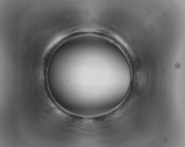 X0000094461456200711151439
