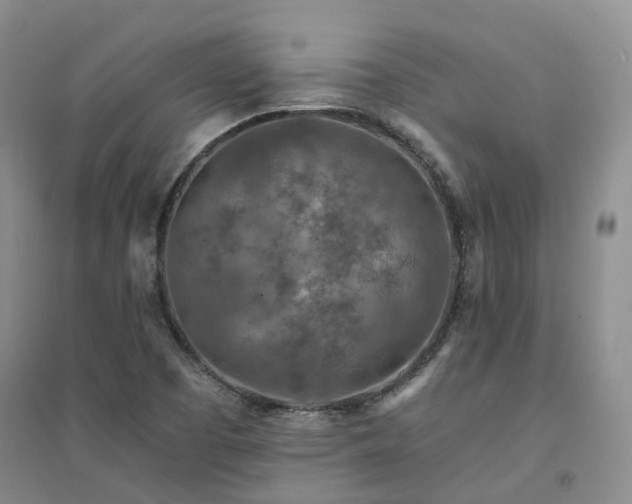 X0000094461457200711151439