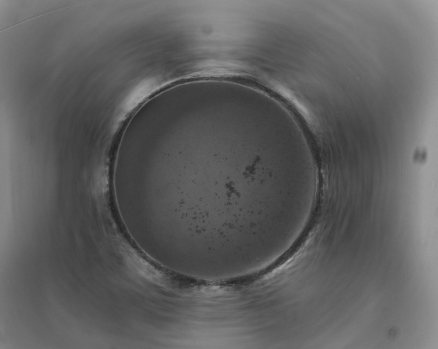 X0000094461459200711151439
