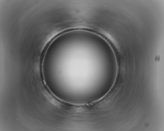 X0000094461460200711151439