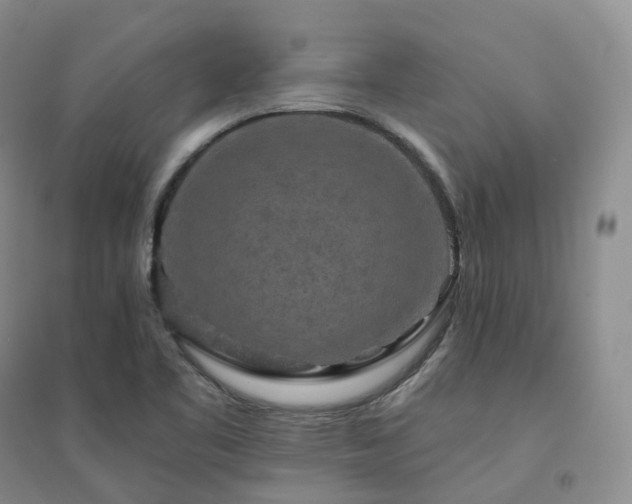 X0000094461461200711151439