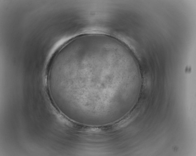 X0000094461462200711151439