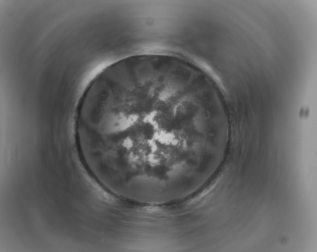 X0000094461463200711151439