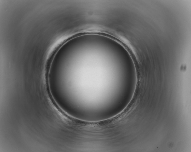 X0000094461464200711151439
