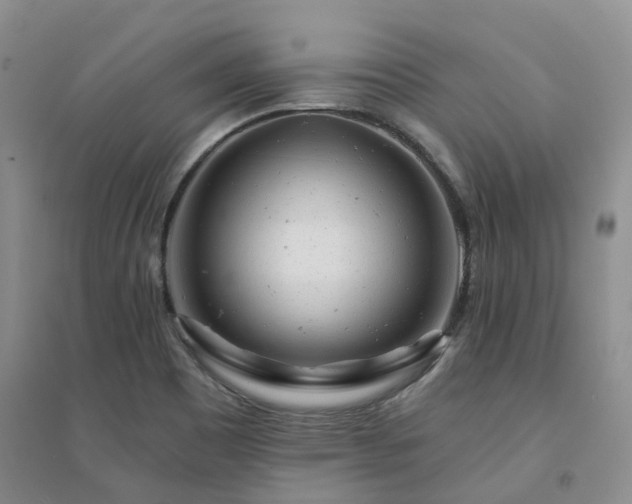 X0000094461465200711151439