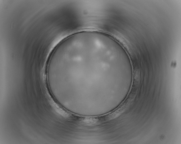 X0000094461466200711151439