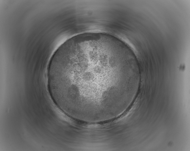 X0000094461467200711151439