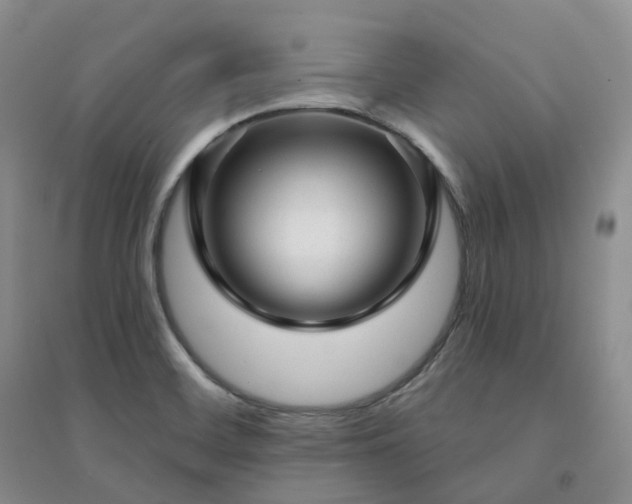 X0000094461468200711151439