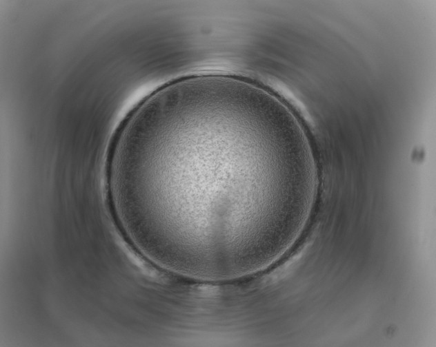 X0000094461469200711151439