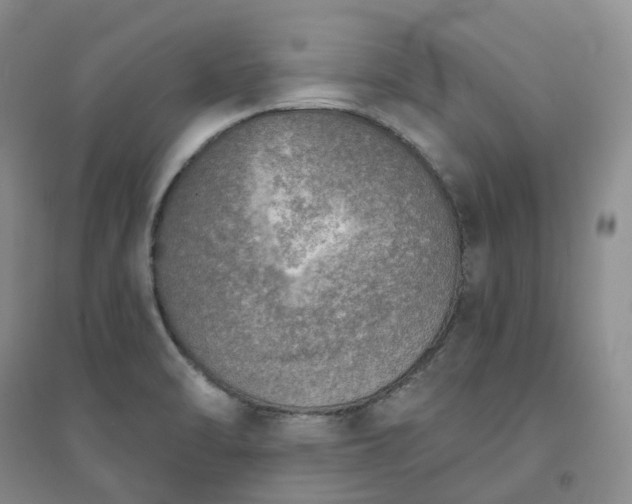 X0000094461470200711151439