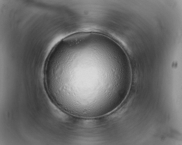 X0000094461471200711151439
