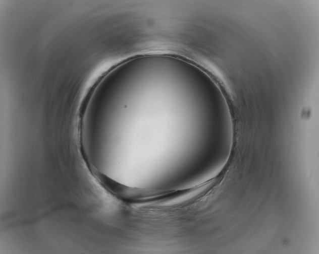 X0000094461472200711151439