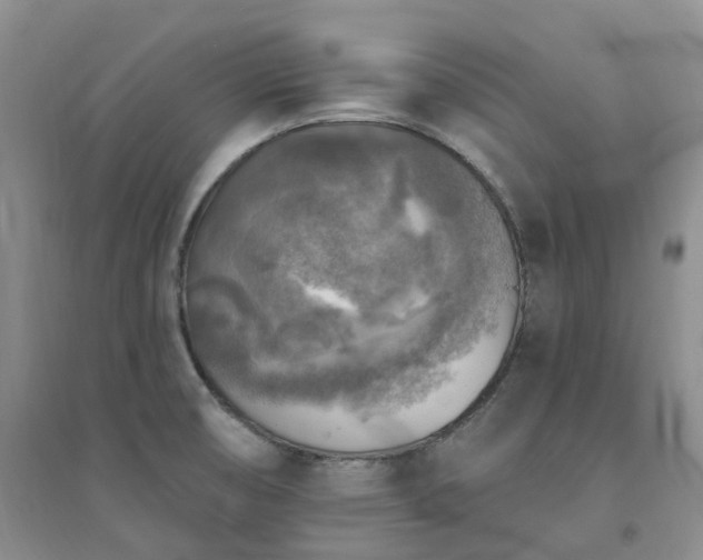 X0000094461474200711151439