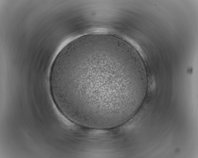 X0000094461475200711151439