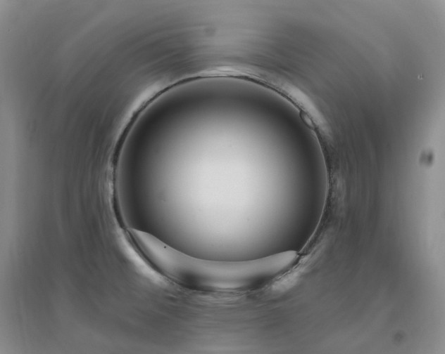 X0000094461476200711151439