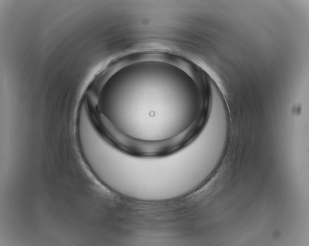 X0000094461477200711151439