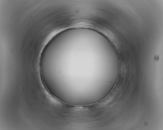 X0000094461478200711151438