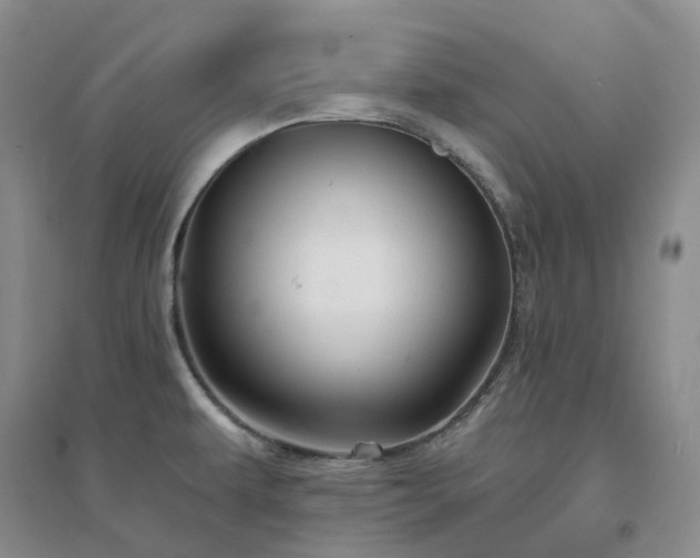 X0000094461479200711151438