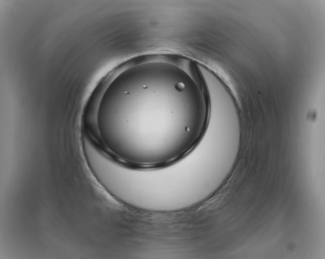 X0000094461480200711151438