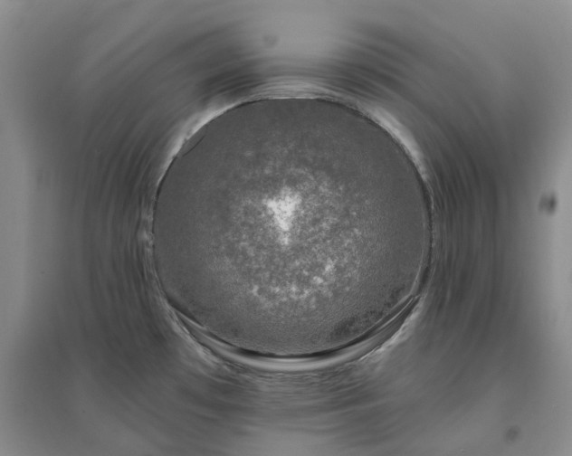 X0000094461481200711151438