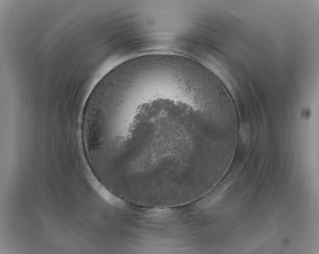 X0000094461482200711151438