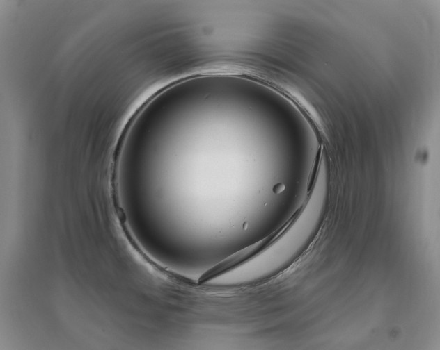 X0000094461484200711151438