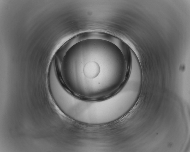 X0000094461485200711151438