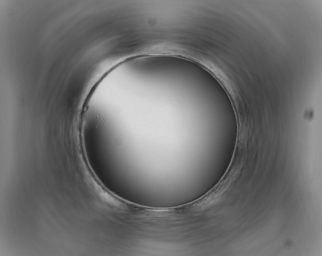 X0000094461486200711151438