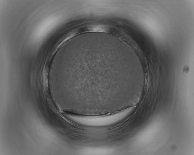 X0000094461487200711151438