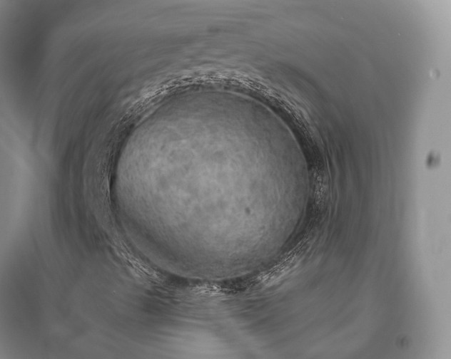 X0000094461489200711151438