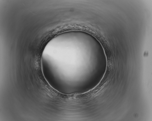 X0000094461490200711151438