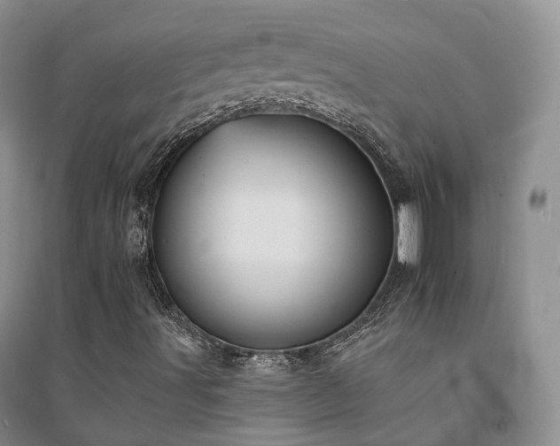 X0000094461491200711151438