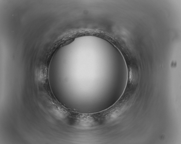 X0000094461492200711151438