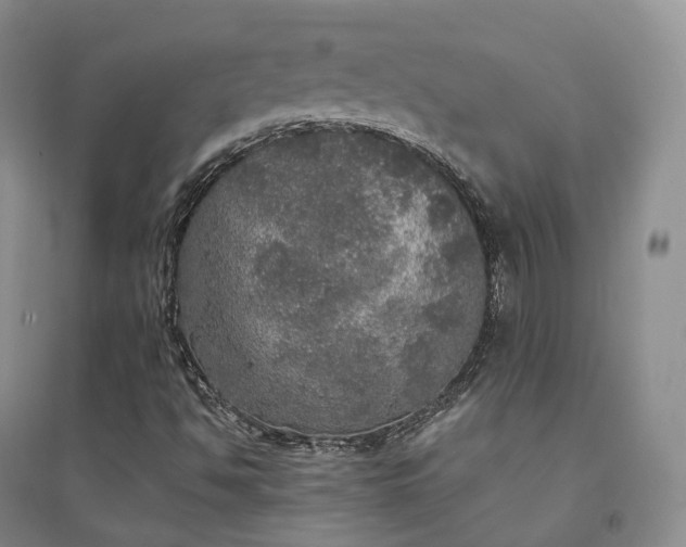 X0000094461494200711151438