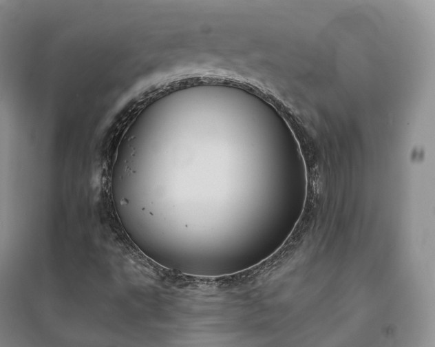 X0000094461495200711151438
