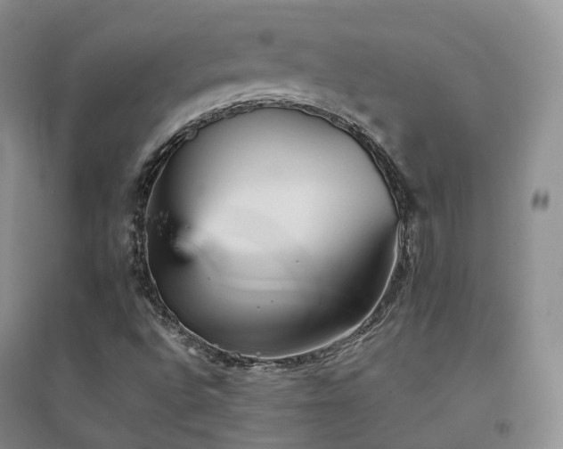 X0000094461496200711151438