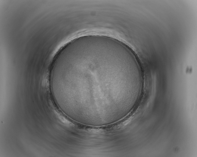 X0000094461498200711151438