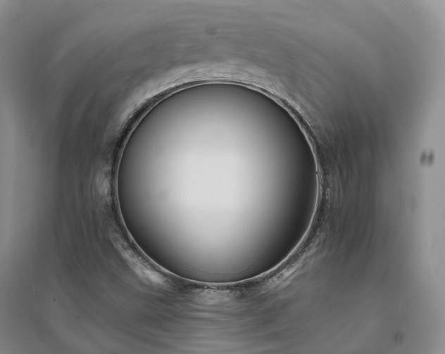 X0000094461499200711151438