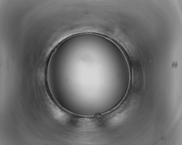 X0000094461500200711151438