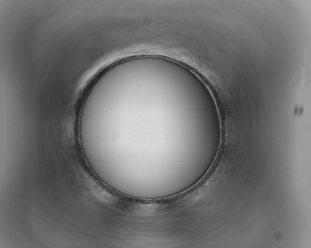 X0000094461502200711151438