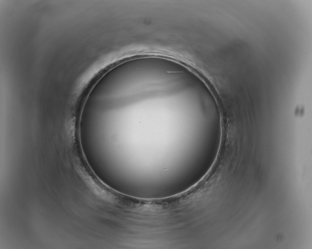 X0000094461503200711151438