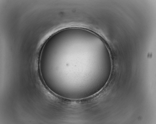 X0000094461504200711151438