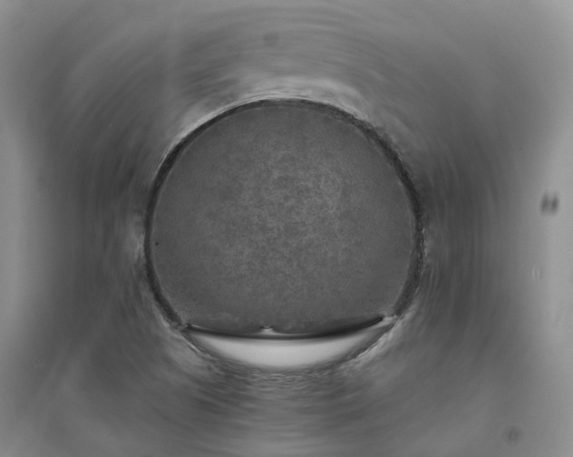 X0000094461505200711151438