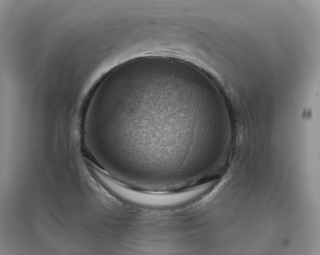 X0000094461506200711151438