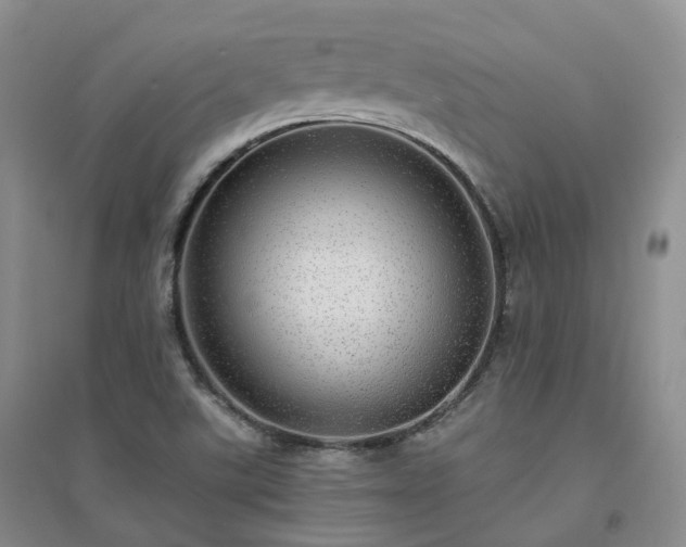 X0000094461507200711151438
