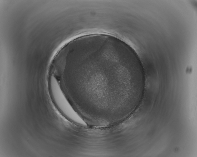 X0000094461508200711151438
