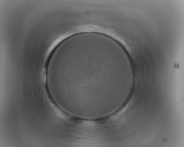 X0000094461509200711151438